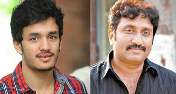 akkineni akhil,nagarjuna,vv vinayak,srinu vytla,akhil second movie  అఖిల్‌ రెండో మూవీకి నాగ్‌ స్కెచ్ ఇదే!